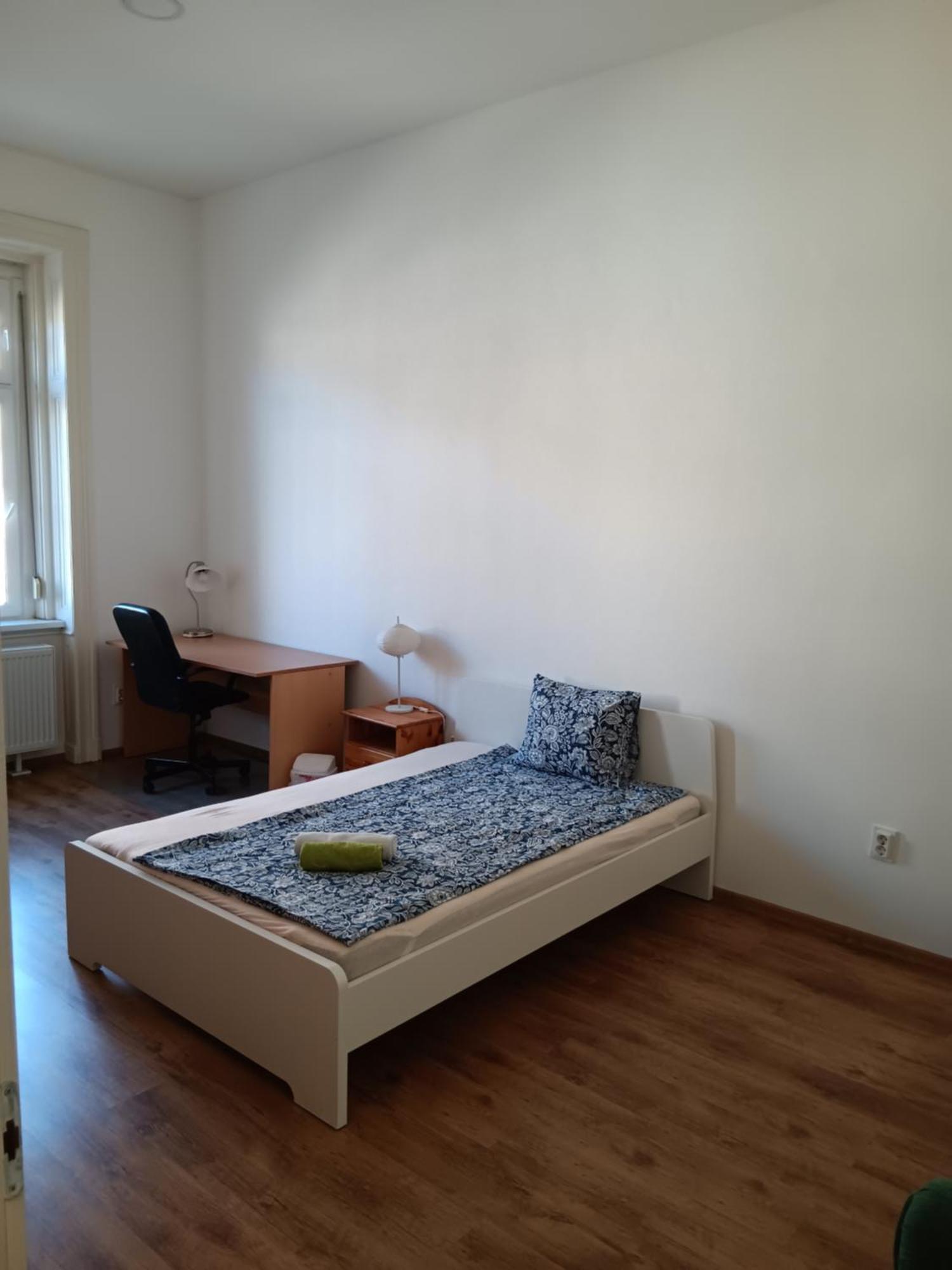 Big Cozy - Skyfall Apartment 3 Bdrm 6 Beds 1&Half Baths Budapest Eksteriør bilde